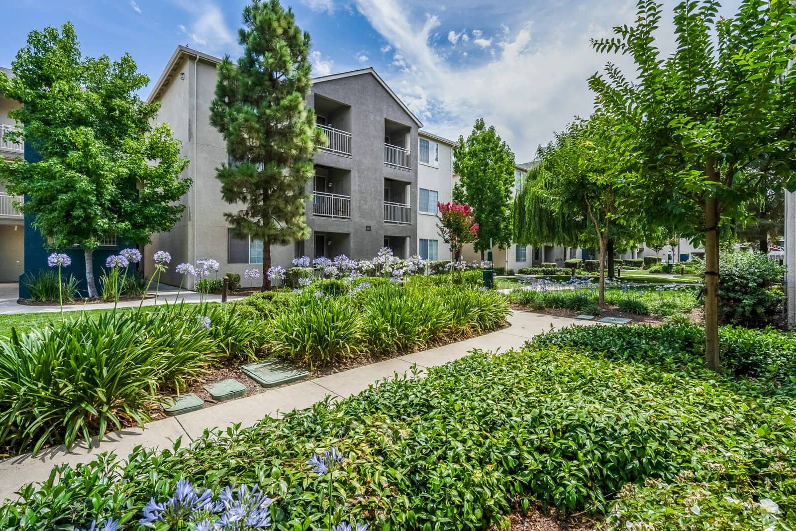 Pavona Apartments 1 of 1