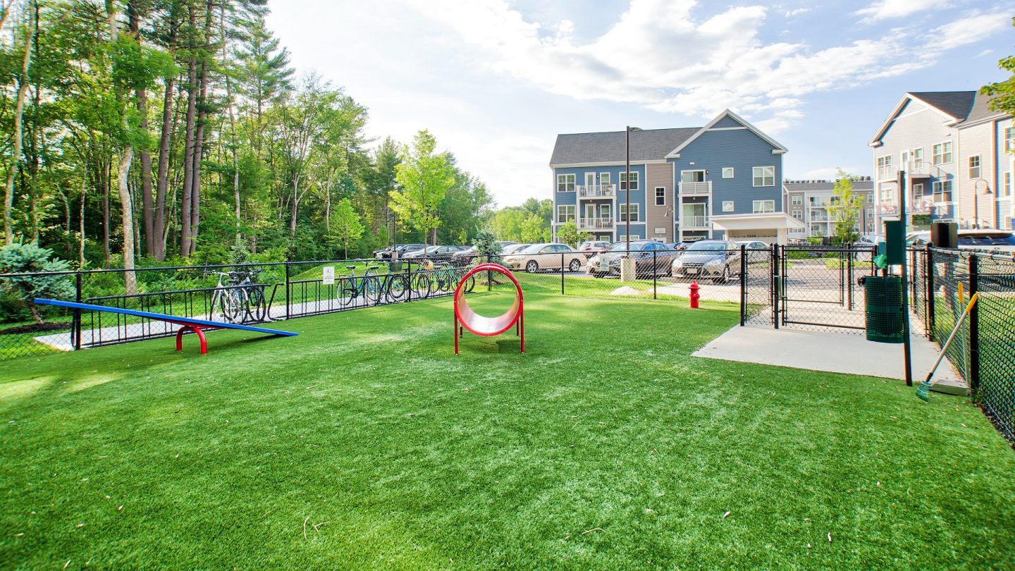 Open area for your dogs to be off leash - Windsor at Hopkinton