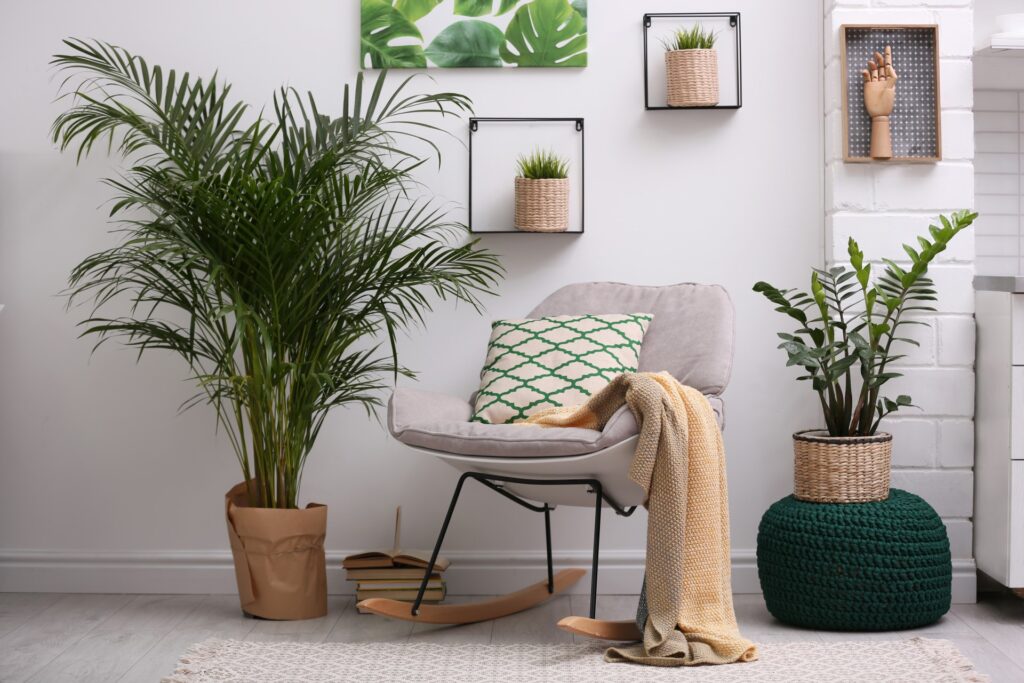 modern apartment with chair, blanket, and green plants