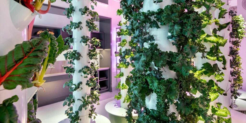Indoor gardening room at Waterline Square apartments