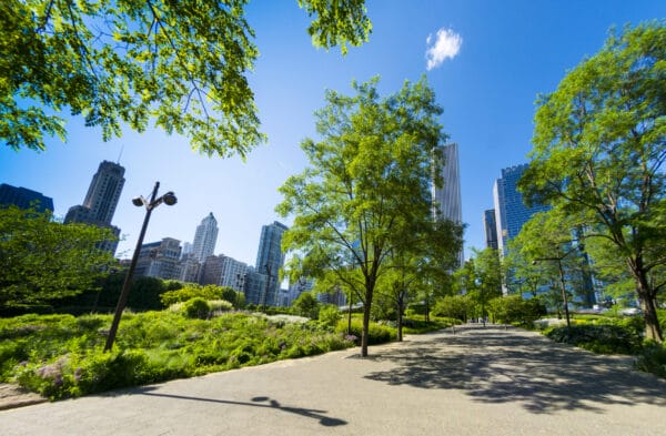 Chicago Millenium Park