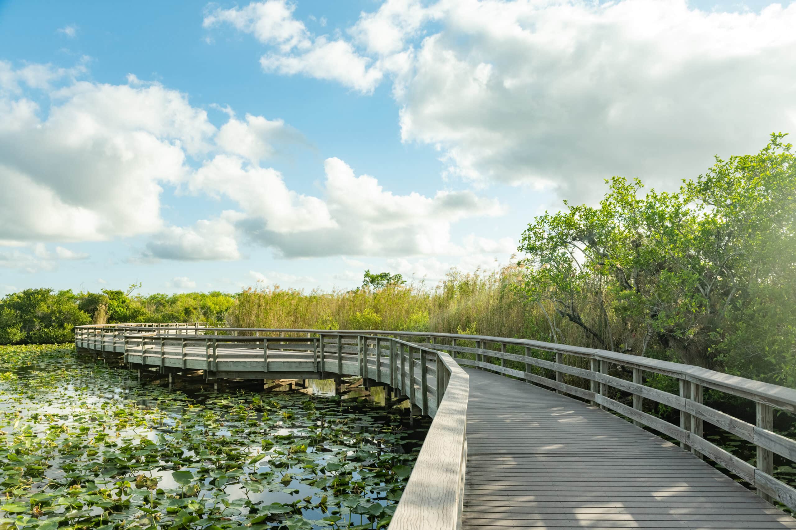 Windsor Coral Springs 3 of 3