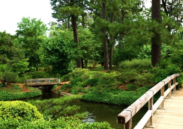 Houston-Park