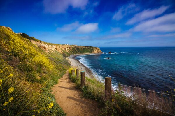 Take advantage of unexpected pockets of nature. 