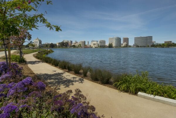 Oakland-Lake