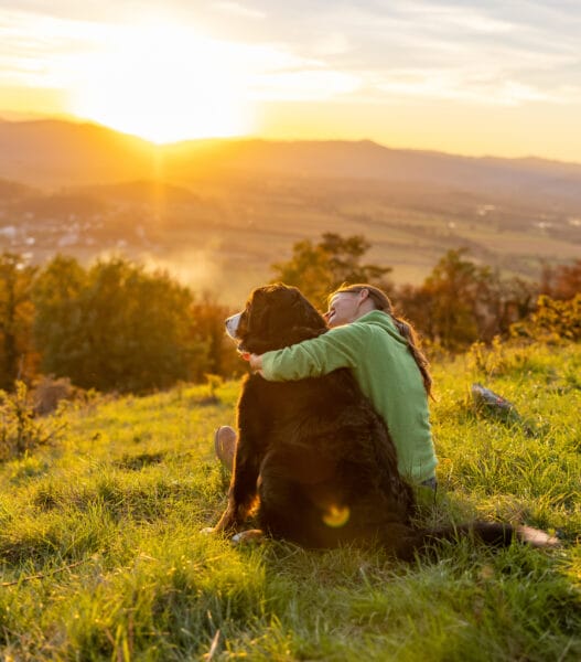 Tourist with Bernese Mountain Dog enjoying mountain view at sunset