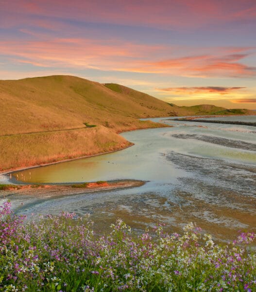 Spring Sunset at Coyote Hills Regional Park