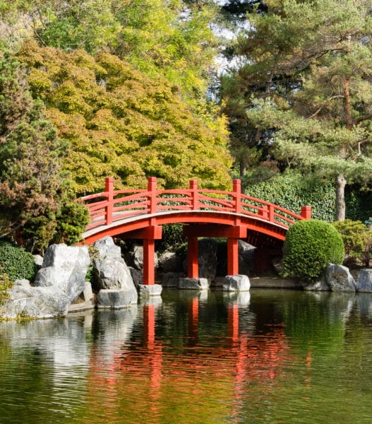 Red bridge over a man made pond, Japanese Friendship Garden, San Jose, San Francisco bay area, California