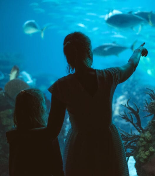 Woman and her daughter in the aquarium.