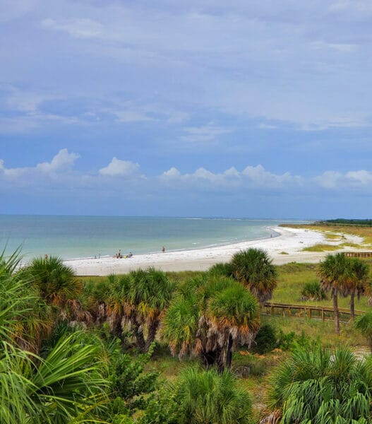 View at the beach