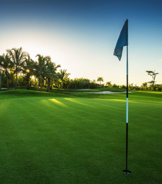 Golf course in the countryside
