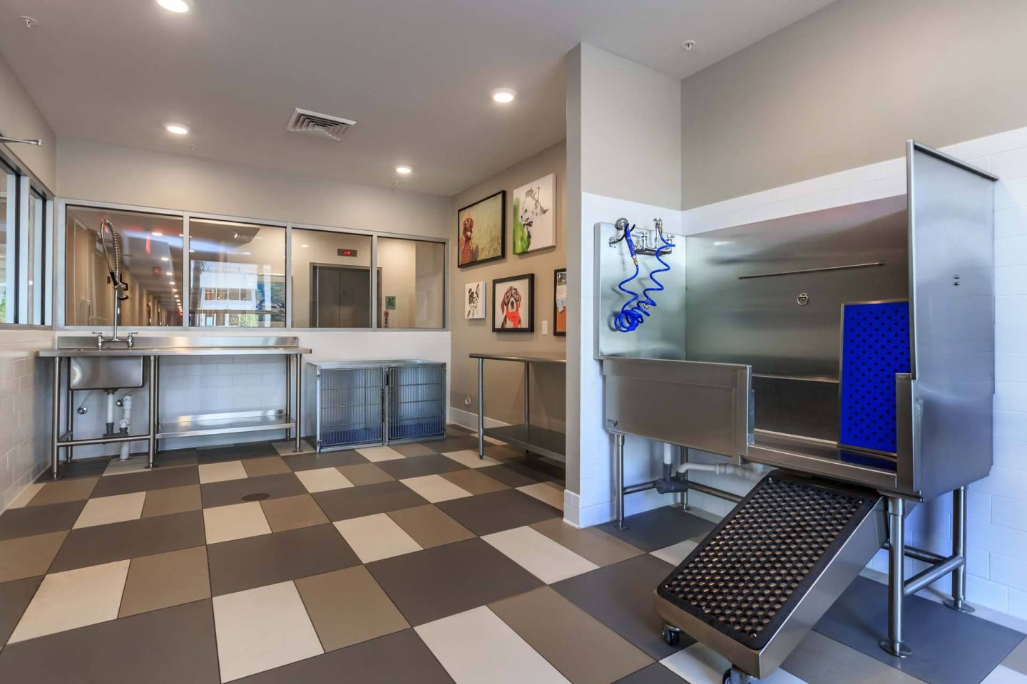 Pet spa at Windsor Central Arts in St. Petersburg, 33701